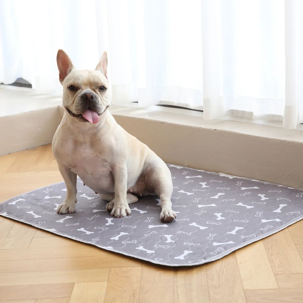 SmartPet - Tapis hygiénique absorbant et lavable pour chiens et chiots