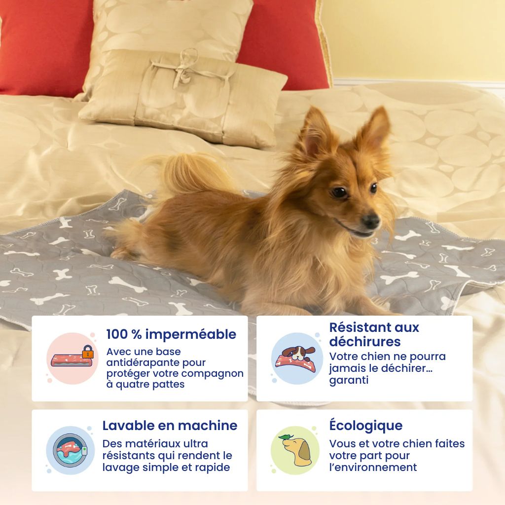 SmartPet - Tapis hygiénique absorbant et lavable pour chiens et chiots