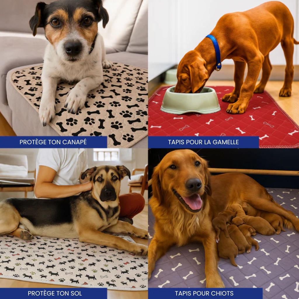 SmartPet - Tapis hygiénique absorbant et lavable pour chiens et chiots